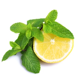 lemon-and-mint