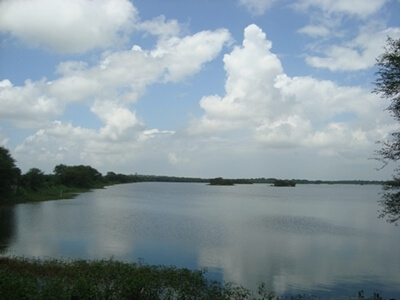 thol-lake-birdsanctuary