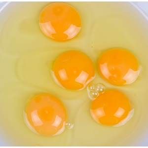 Egg-yolks