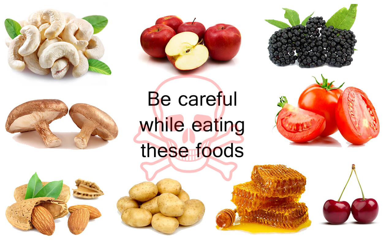 What do these eat. Be careful. Be careful with. Be careful картинки для детей. Careful what you eat.