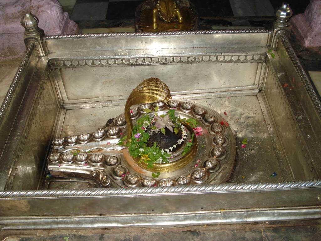 Baba Vishwanath Mahadev Varanasi